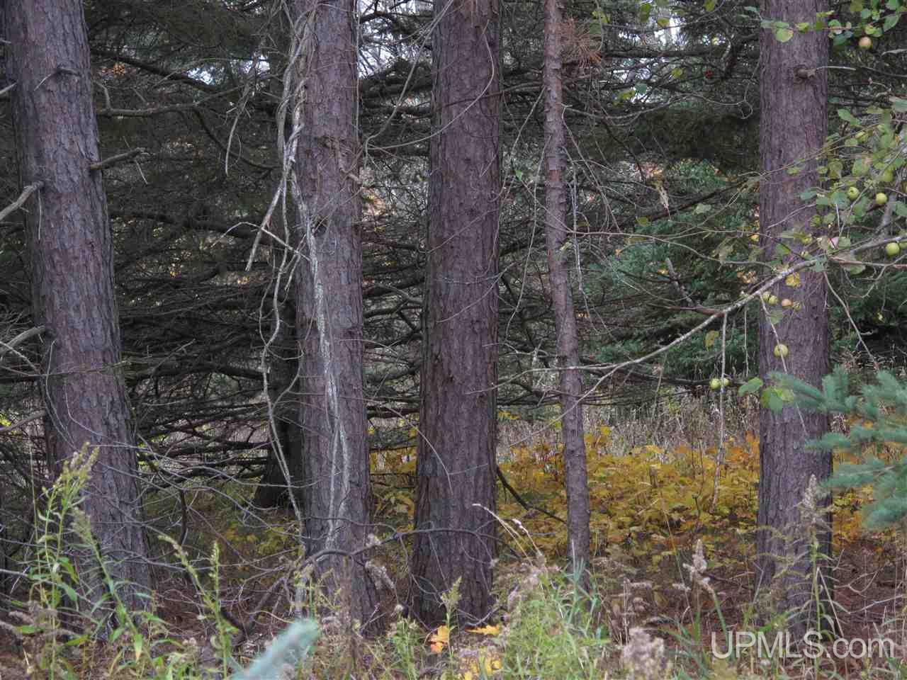 21851 Ridge Road Grand Marais, MI 49839 - Photo 17 of 29