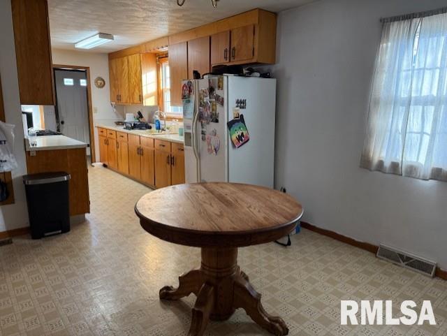 417 West 2nd Street Geneseo, IL 61254 - Photo 5 of 25 Gallery Image 5