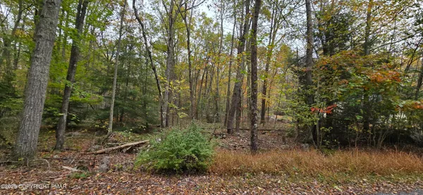 $12,000 | A465 Redwood Drive, Jim Thorpe, PA 18229