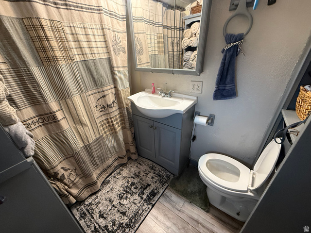 379 Main Street Georgetown, ID 83239 - Photo 11 of 23 Bathroom featuring a single vanity with a white basin sink, a wall-mounted mirror, and wood-finish flooring