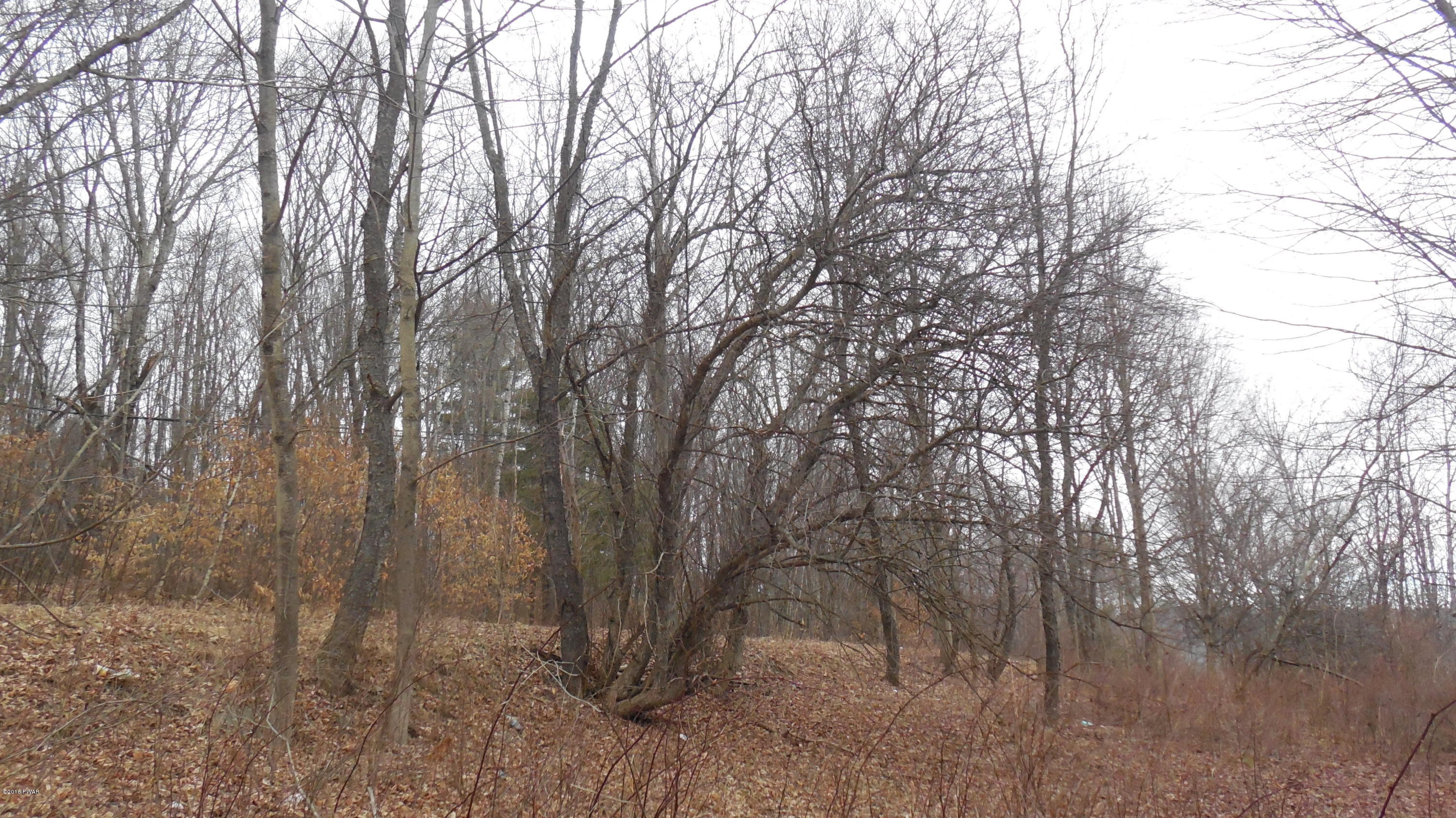 352 Hellmers Hill Road Equinunk, PA 18417 - Photo 22 of 34