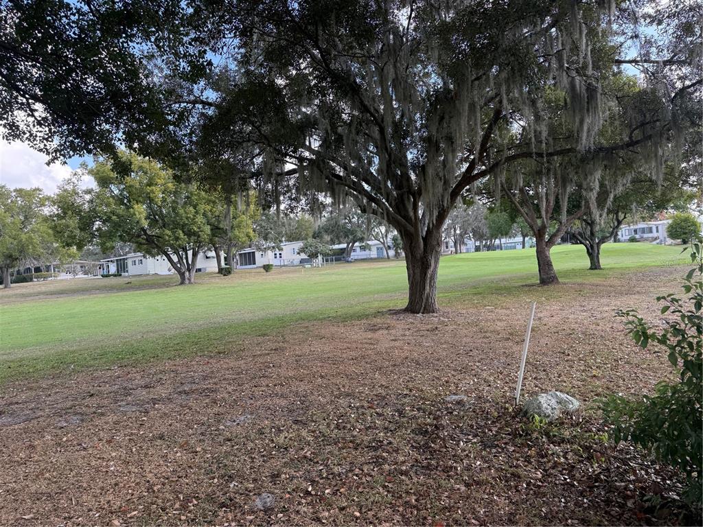 8010 Highpoint Boulevard Brooksville, FL 34613 - Photo 23 of 32 a view of grassy field with trees