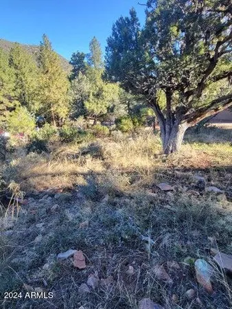 a view of a yard