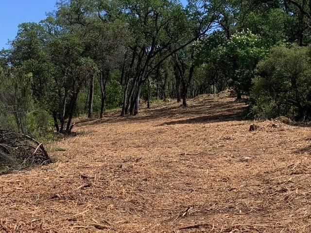 555 Jurgens Road Rescue, CA 95672 - Photo 12 of 38 a view of backyard with tree