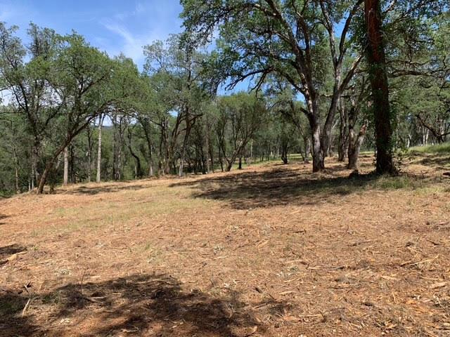 555 Jurgens Road Rescue, CA 95672 - Photo 16 of 38 a backyard of a house with lots of green space