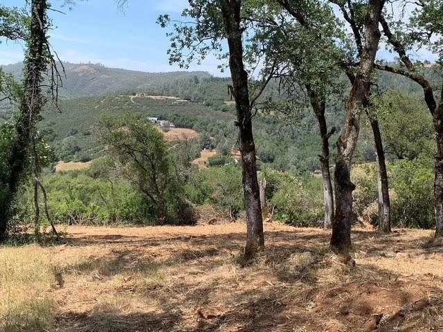555 Jurgens Road Rescue, CA 95672 - Photo 20 of 38 a view of a yard with a tree