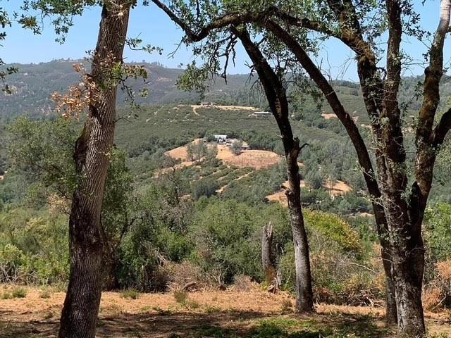 555 Jurgens Road Rescue, CA 95672 - Photo 22 of 38 a view of a tree in the yard