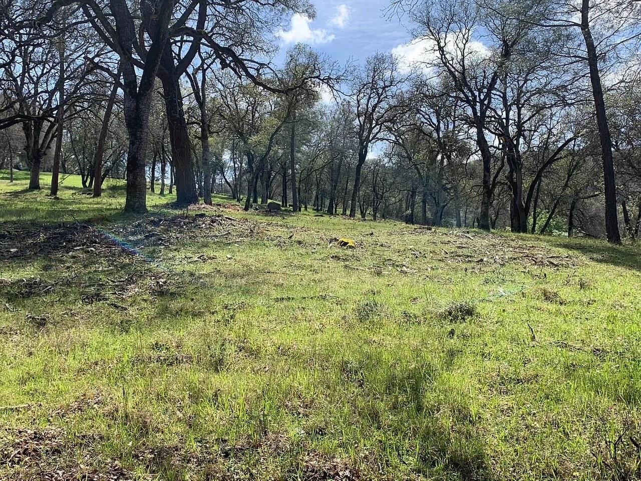 555 Jurgens Road Rescue, CA 95672 - Photo 24 of 38 a view of outdoor space with trees