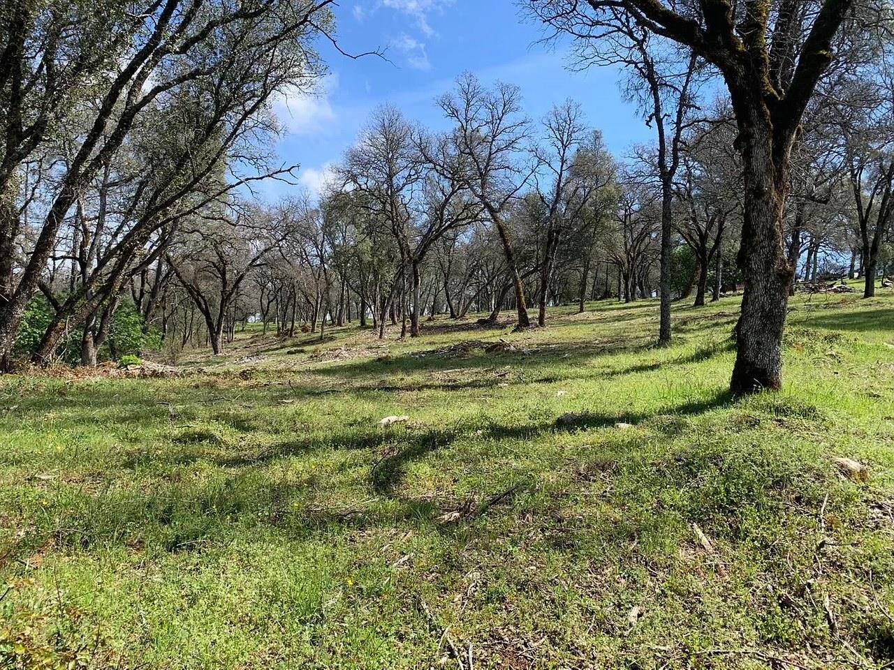 555 Jurgens Road Rescue, CA 95672 - Photo 25 of 38 a view of outdoor space with trees all around