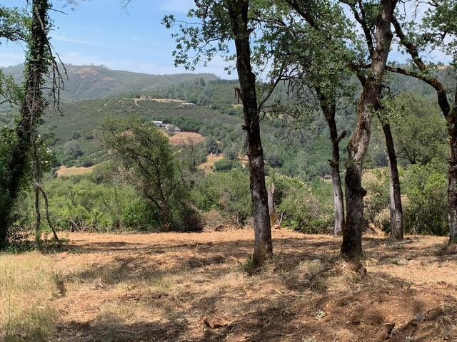 555 Jurgens Road Rescue, CA 95672 - Photo 3 of 38 a view of a yard with a tree