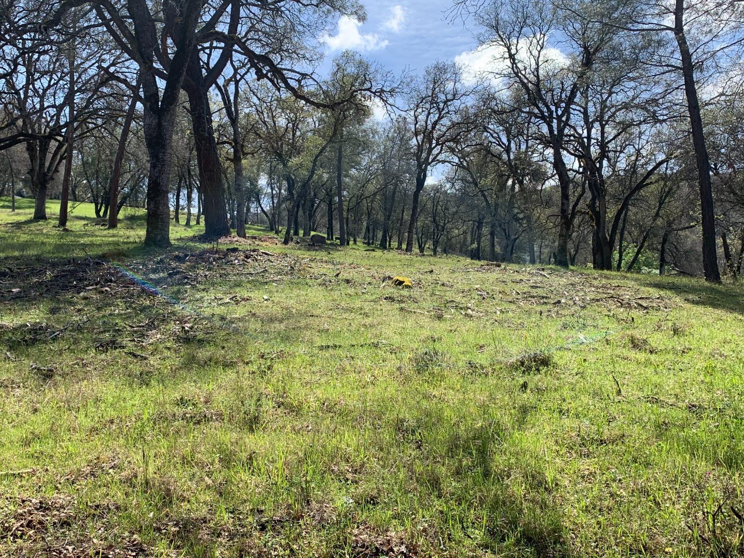 555 Jurgens Road Rescue, CA 95672 - Photo 31 of 38 a view of outdoor space with trees