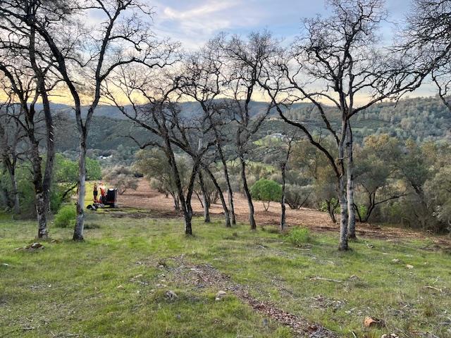 555 Jurgens Road Rescue, CA 95672 - Photo 33 of 38 a view of park with trees