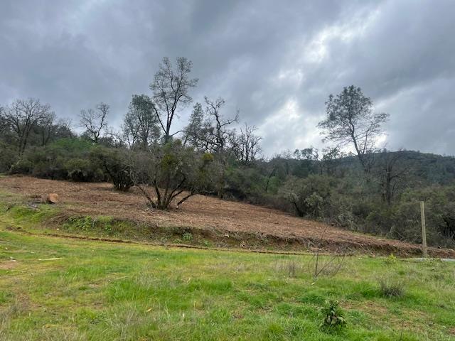 555 Jurgens Road Rescue, CA 95672 - Photo 35 of 38 a backyard of a house with lots of green space