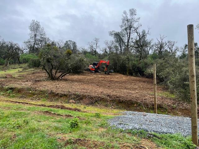 555 Jurgens Road Rescue, CA 95672 - Photo 37 of 38 a view of outdoor space with trees