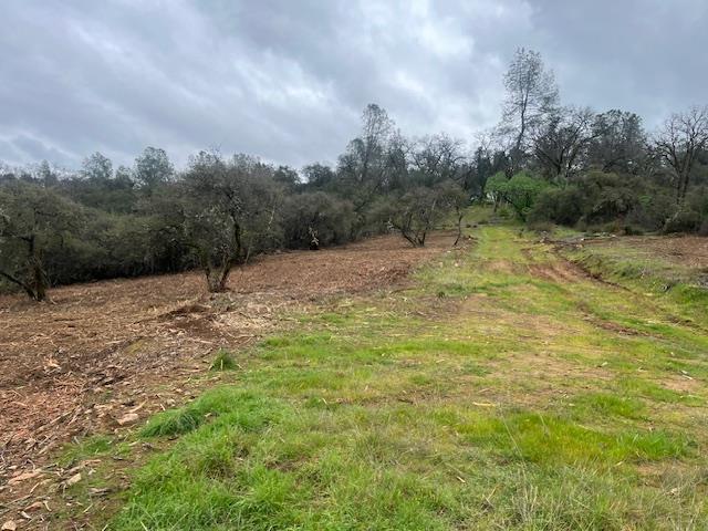 555 Jurgens Road Rescue, CA 95672 - Photo 38 of 38 a backyard of a house with lots of green space