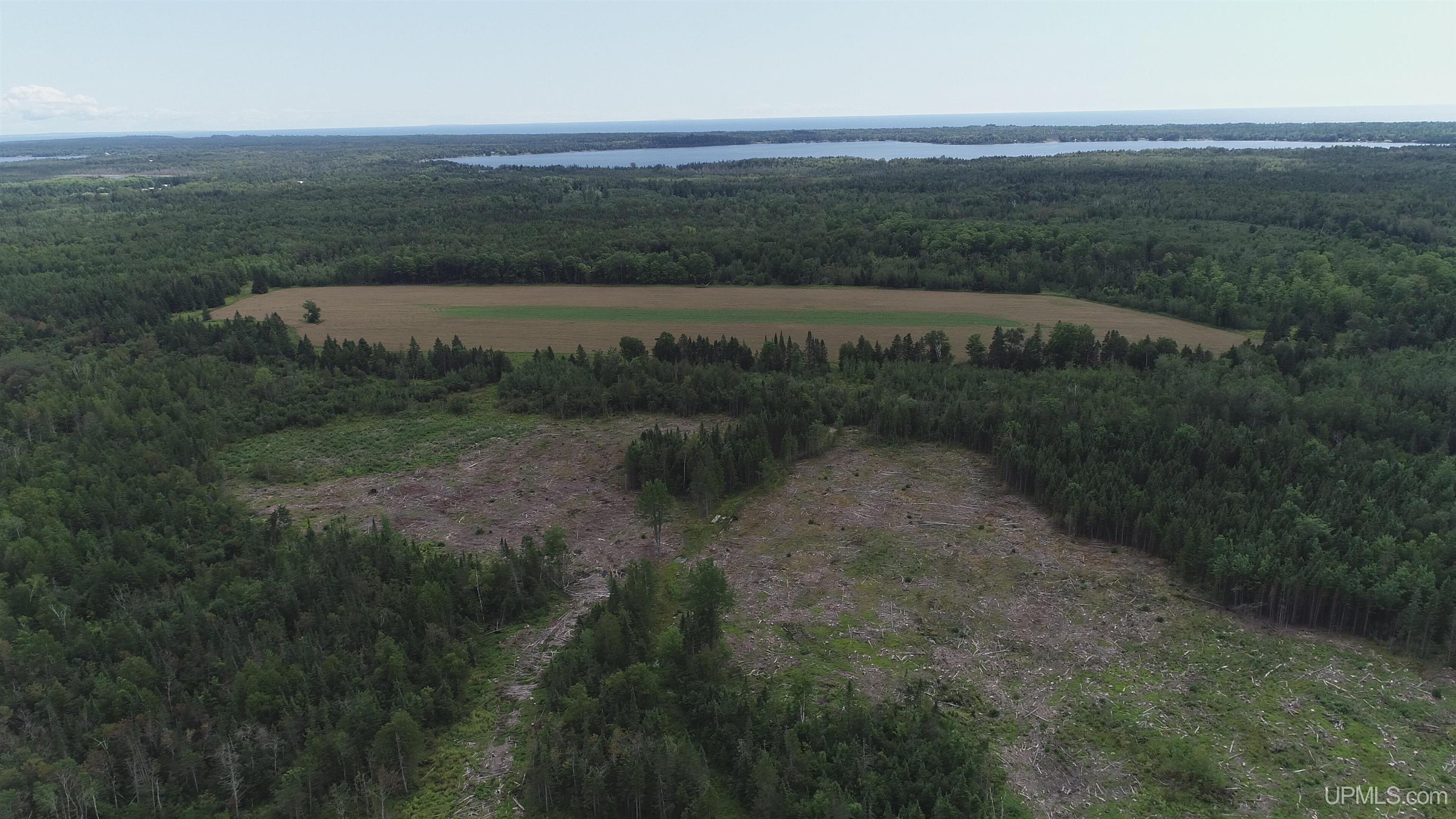 160-acres Halverson Road Gulliver, MI 49840 - Photo 2 of 35