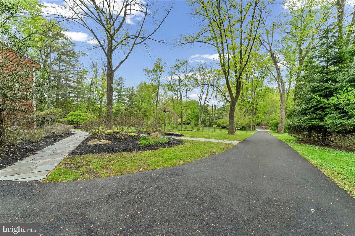 1750 Stocton Road Jenkintown, PA 19046 - Photo 43 of 50 Serene pathway through lush greenery.