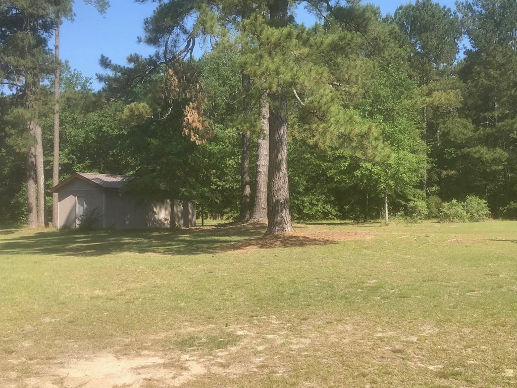 3660 Shiloh Church Road Aiken, SC 29805 - Photo 19 of 24