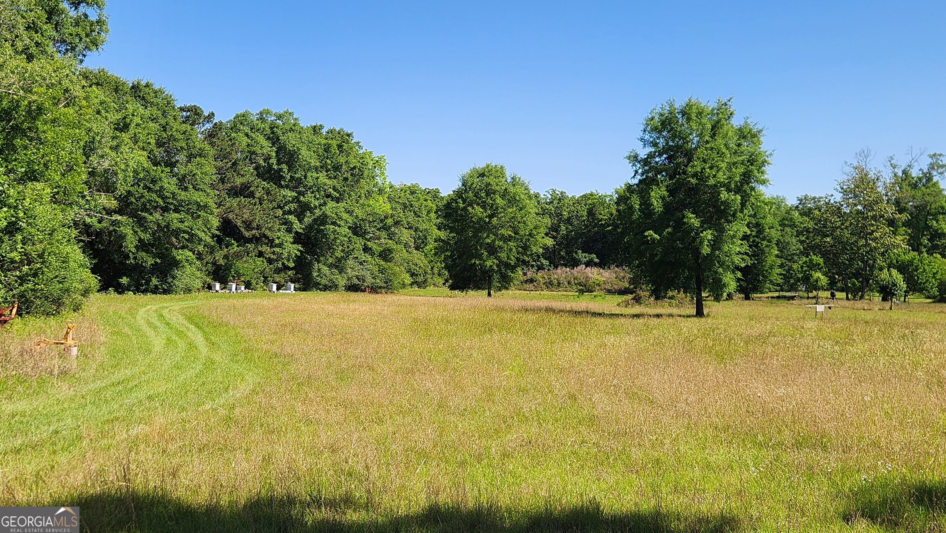 246 Melton Mill Road Dawson, GA 39842 - Photo 65 of 78