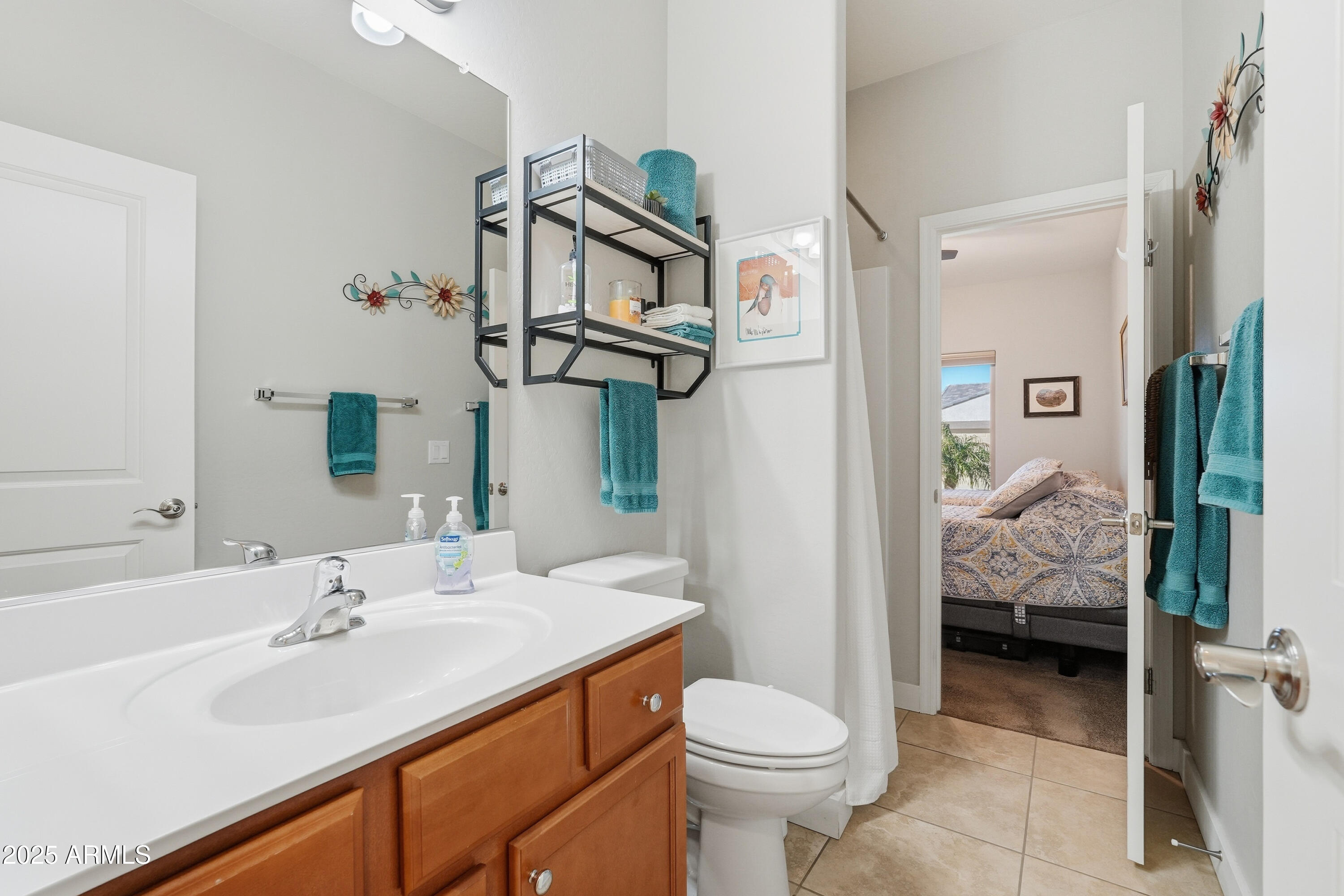 1815 South Hayley Road Apache Junction, AZ 85119 - Photo 19 of 33 a bathroom with a sink a toilet and shower