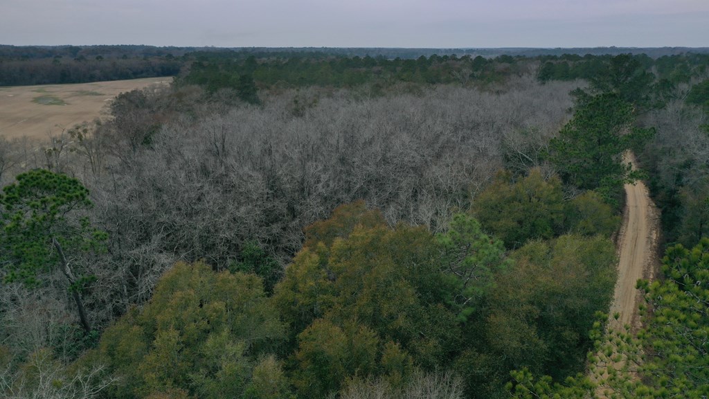 15.05 Pera Road Samson, AL 36477 - Photo 10 of 29