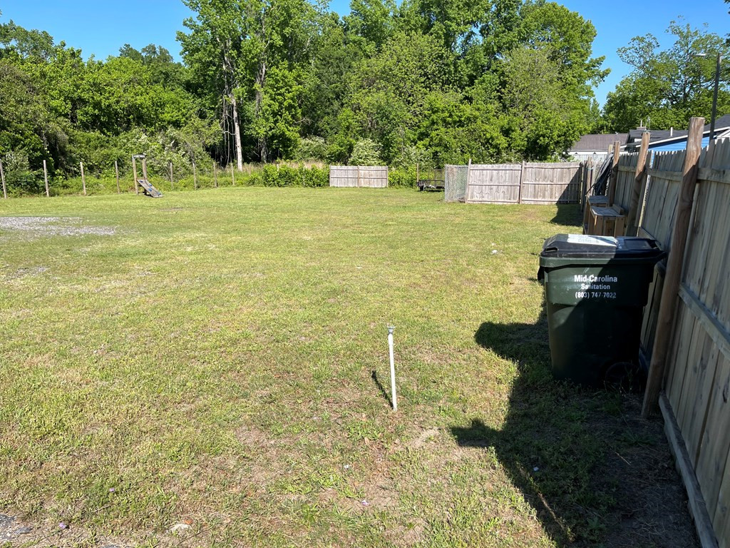 202 Dickson Street Manning, SC 29102 - Photo 6 of 8 Gallery Image 6