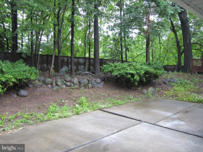 3240 Birchtree Lane Silver Spring, MD 20906 - Photo 6 of 19 a backyard of a house with lots of green space
