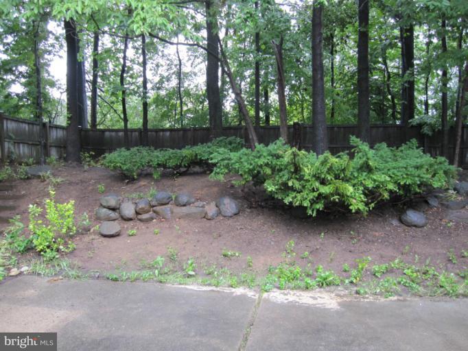 3240 Birchtree Lane Silver Spring, MD 20906 - Photo 7 of 19 a wooden bench sitting in a garden