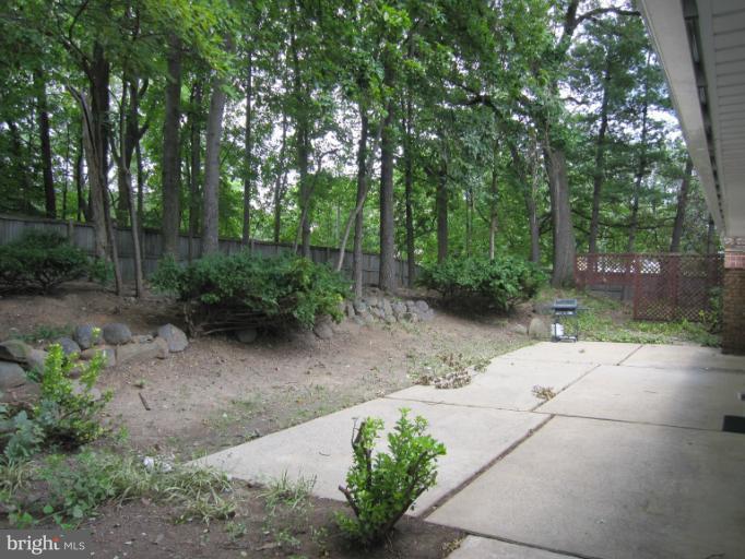 3240 Birchtree Lane Silver Spring, MD 20906 - Photo 9 of 19 a backyard of a house with lots of green space