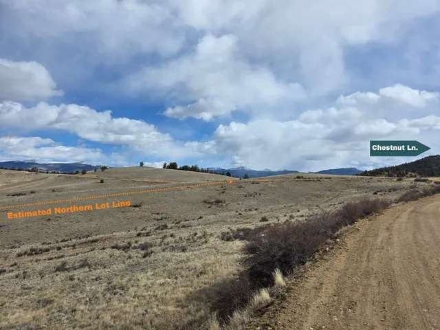 a view of a dry yard