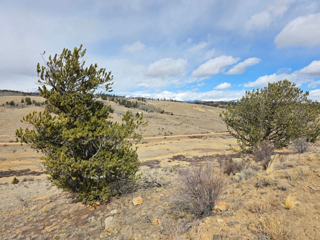 1053 Lippzana Road Como, CO 80456 - Photo 8 of 19 a view of beach and yard