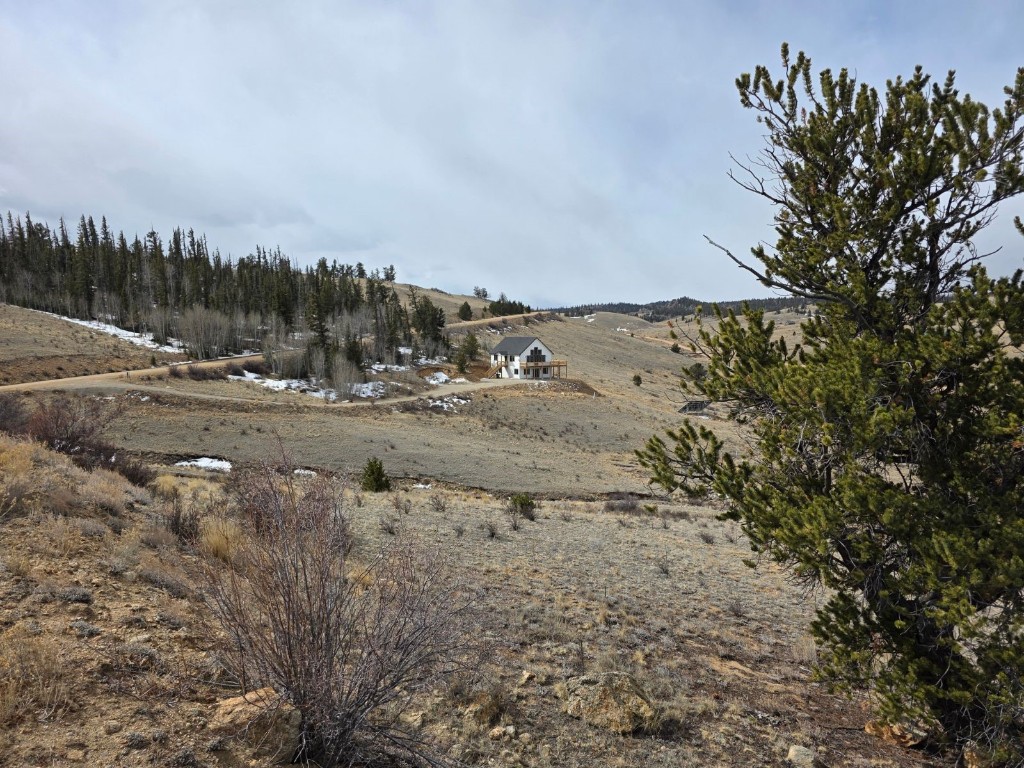 1053 Lippzana Road Como, CO 80456 - Photo 10 of 19 a view of a dry yard with wooden fence