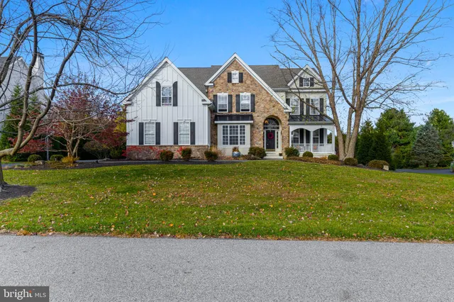 a view of staircase with lots of frames on wall and a potted plant