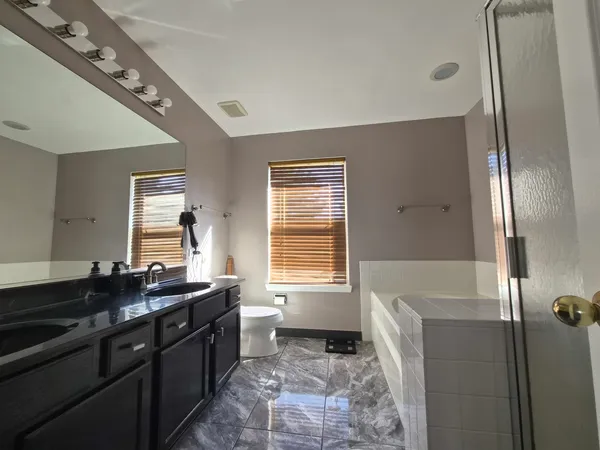 a bathroom with a double vanity sink a mirror and a bathtub