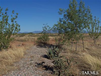 5196 East Philipps Road Willcox, AZ 85643 - Photo 12 of 16