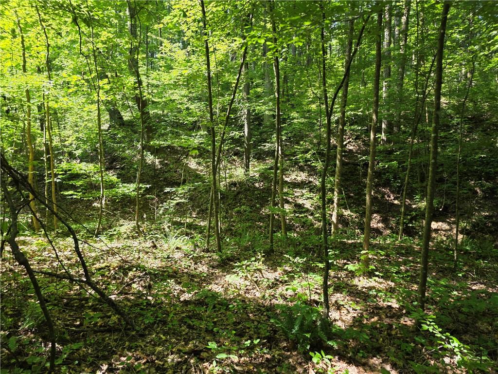 0 Harley Trail Ball Ground, GA 30107 - Photo 12 of 28 a view of forest