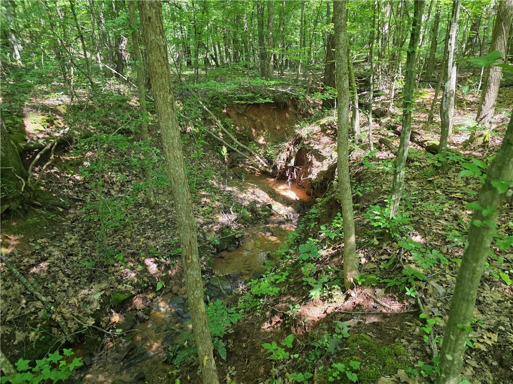 0 Harley Trail Ball Ground, GA 30107 - Photo 14 of 28 a view of a garden