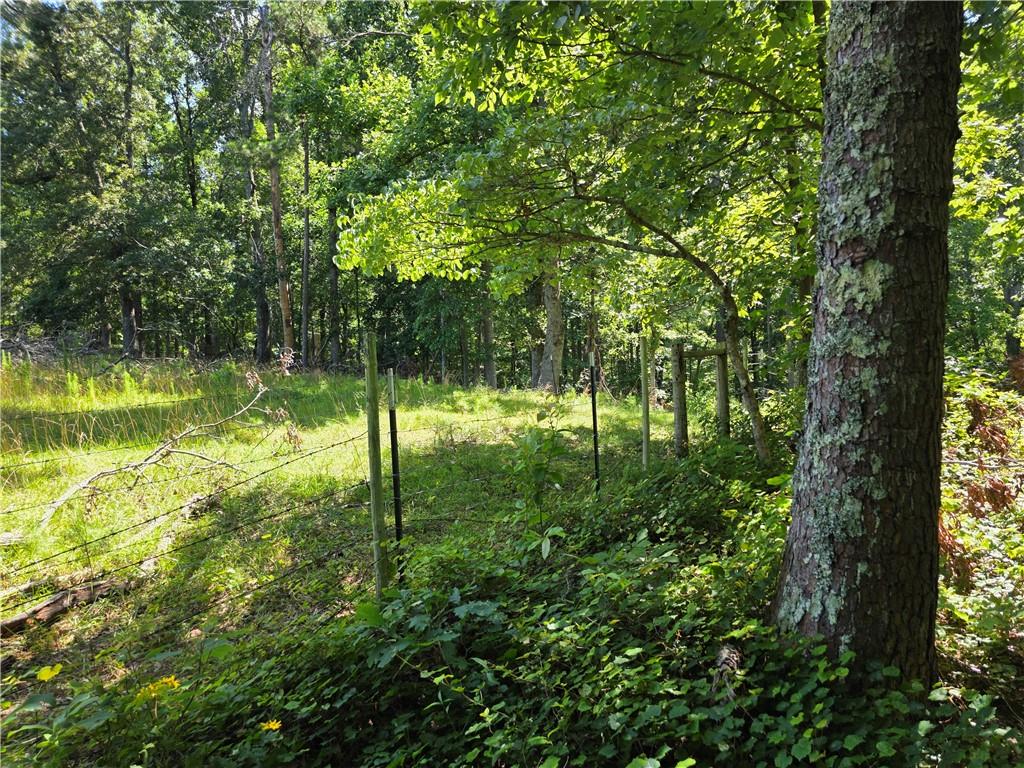 0 Harley Trail Ball Ground, GA 30107 - Photo 15 of 28 a view of yard with large trees