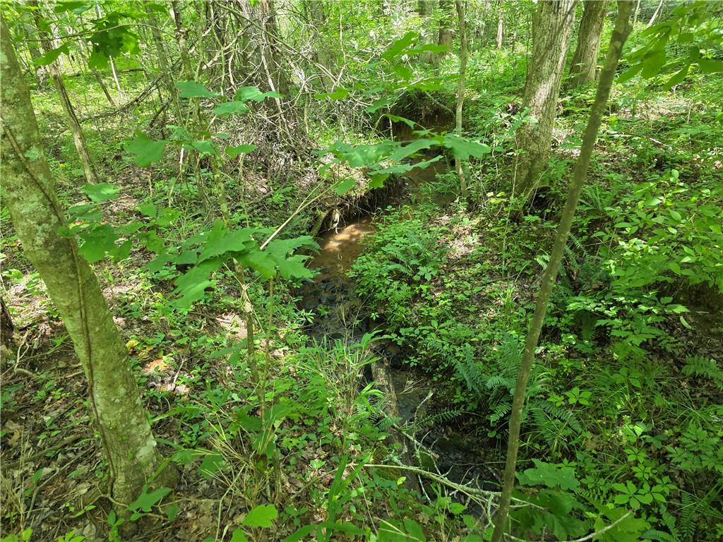 0 Harley Trail Ball Ground, GA 30107 - Photo 21 of 28 a view of a lush green forest