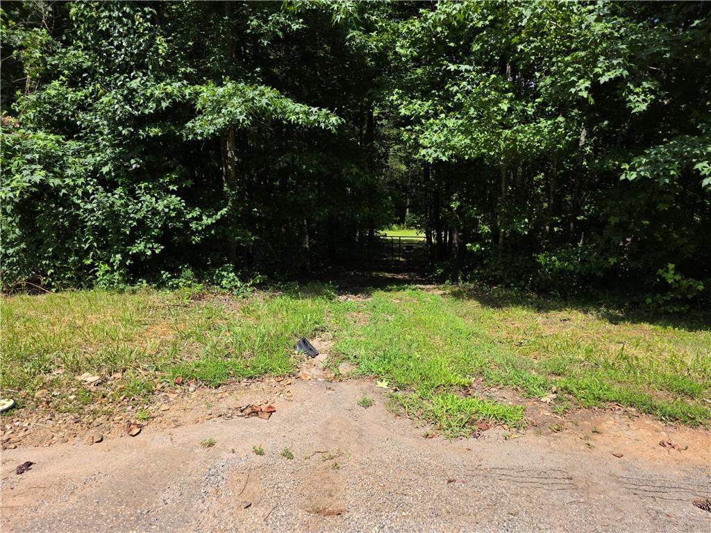0 Harley Trail Ball Ground, GA 30107 - Photo 23 of 28 a view of backyard with green space