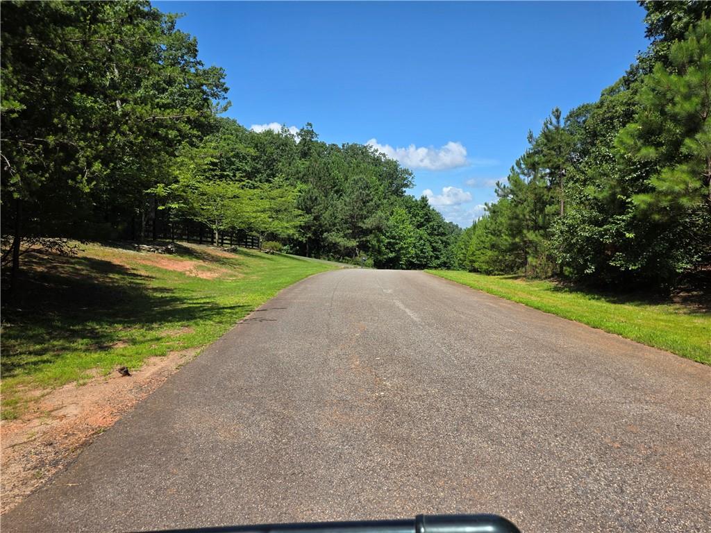 0 Harley Trail Ball Ground, GA 30107 - Photo 26 of 28 a view of a yard with potted plants and large trees