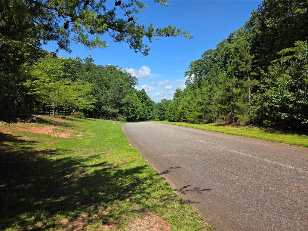 0 Harley Trail Ball Ground, GA 30107 - Photo 27 of 28 a view of a swimming pool with an outdoor space