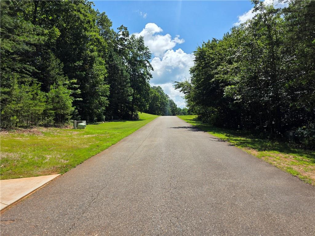 0 Harley Trail Ball Ground, GA 30107 - Photo 28 of 28 a view of a golf course with a lake view
