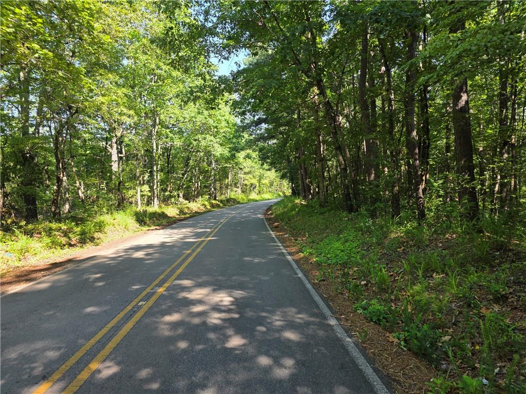 0 Harley Trail Ball Ground, GA 30107 - Photo 4 of 28 a view of a street with a yard