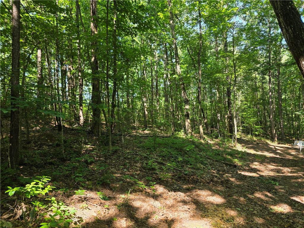 0 Harley Trail Ball Ground, GA 30107 - Photo 7 of 28 a big yard with lots of green space and trees