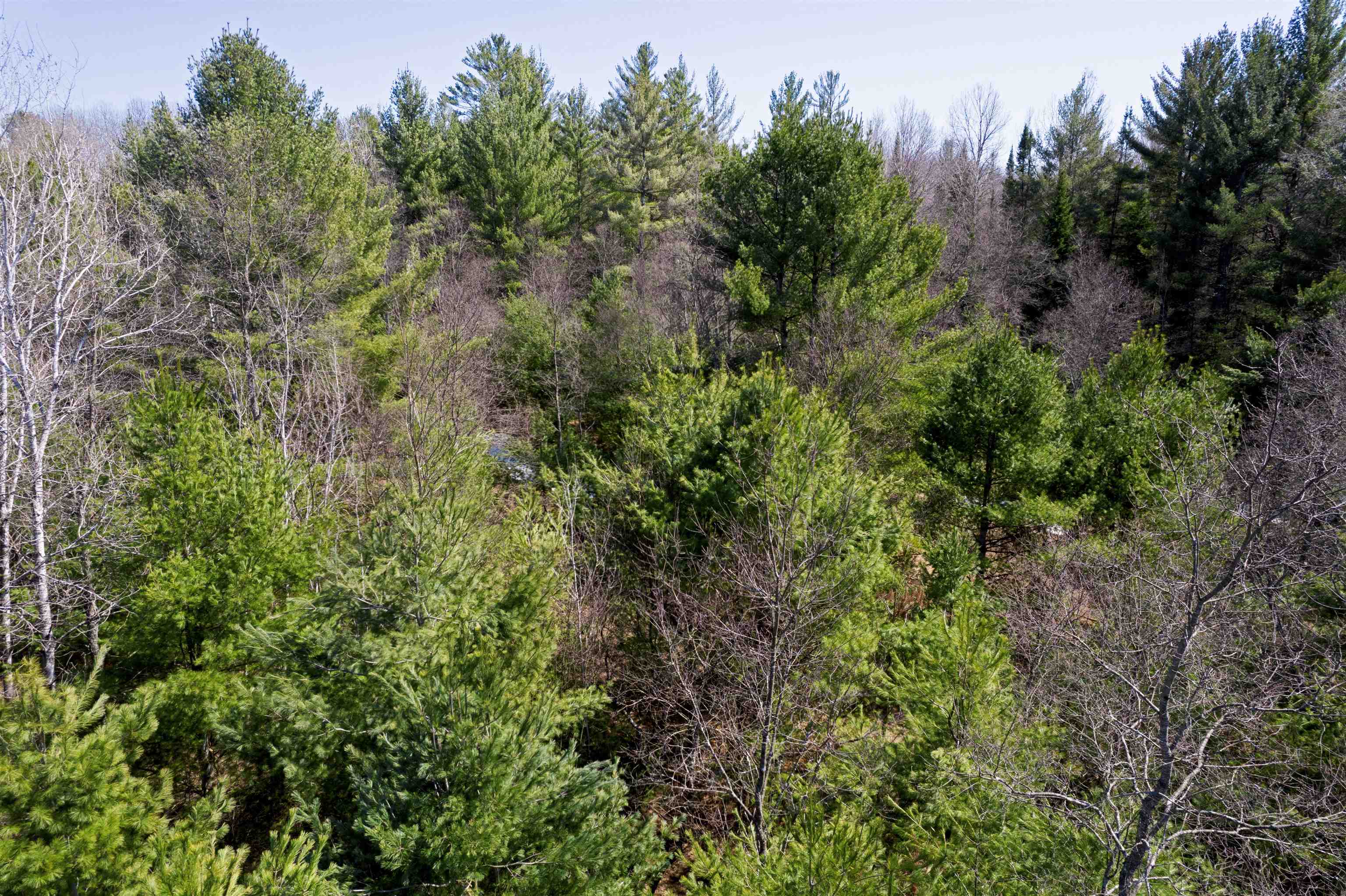 8324 Besaw Road Northeast Mancelona, MI 49659 - Photo 18 of 24 1932813-16916295-8875-4c4b-b1d4-596d21d4e2d5.JPG
