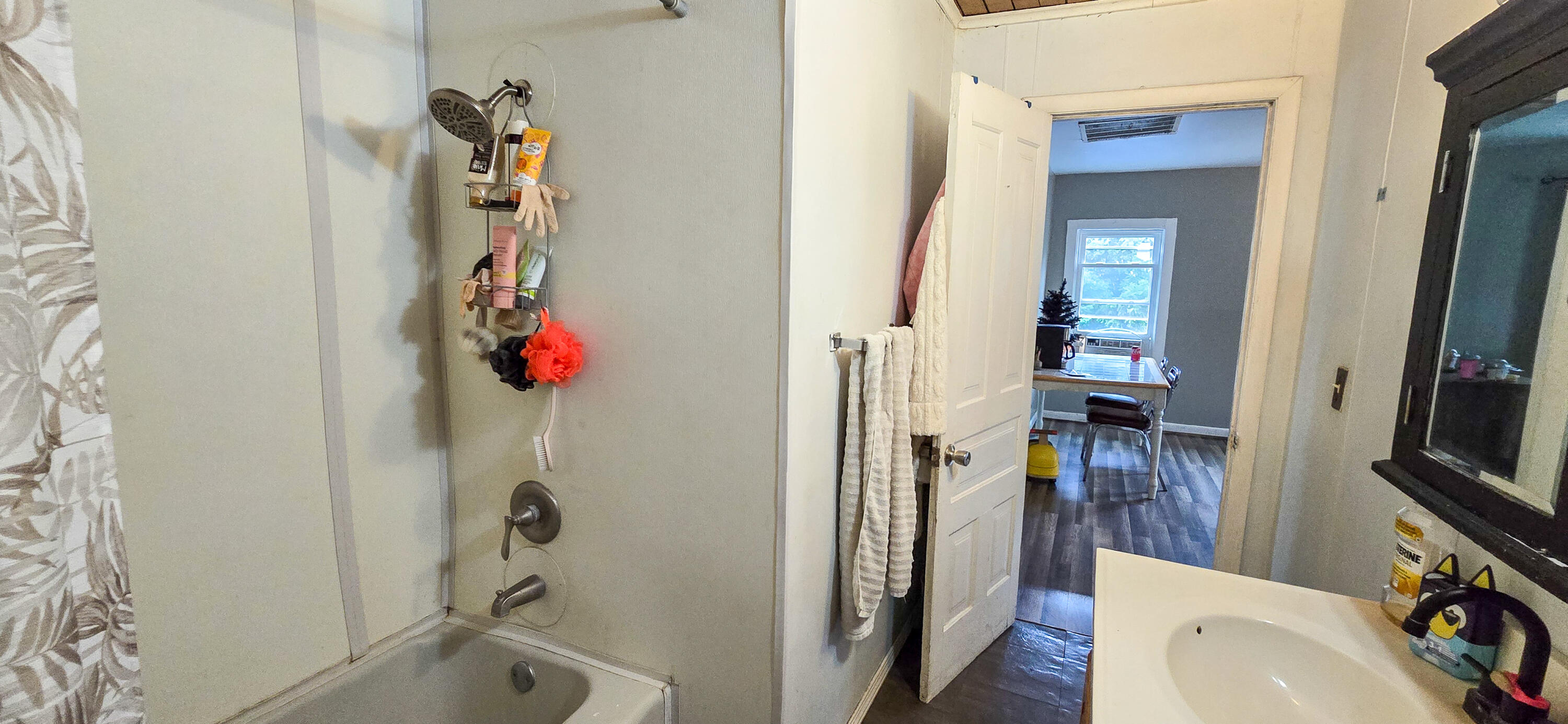 945 North Summit Street Morenci, MI 49256 - Photo 10 of 31 20251108_100904