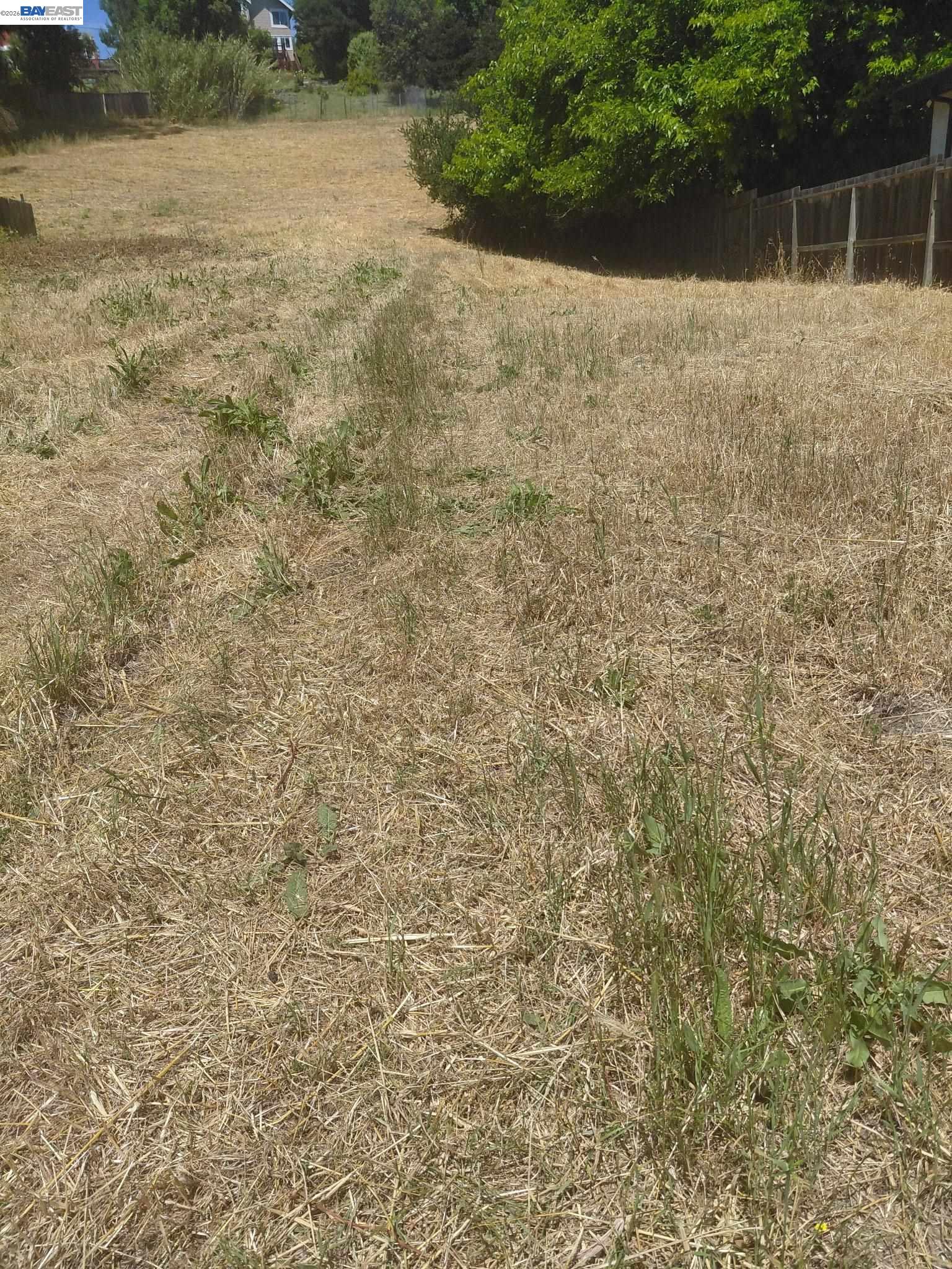 4060 Lambert Road El Sobrante, CA 94803 - Photo 3 of 7 a view of backyard with green space