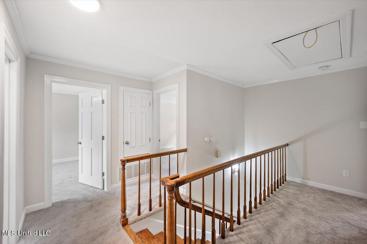 5460 Briarfield Road Jackson, MS 39211 - Photo 21 of 35 24-HTP_0469