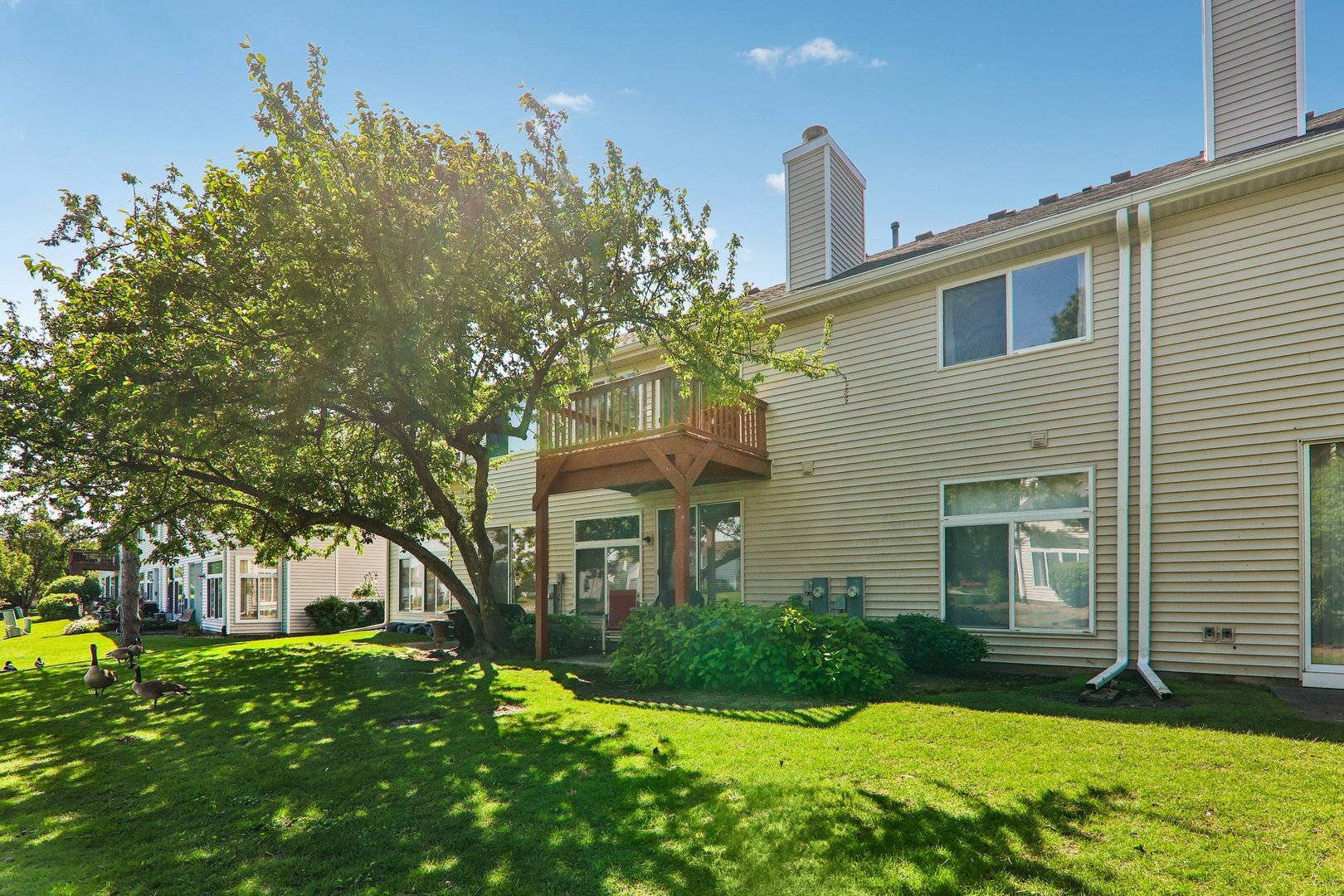1064 Ripple Ridge Darien, IL 60561 - Photo 15 of 16 a front view of a house with garden